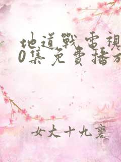 地道战电视剧40集免费播放