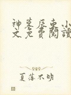 神墓辰东小说全文免费阅读免费