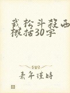 武松斗杀西门庆概括30字