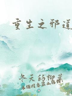 重生之邪道天娇