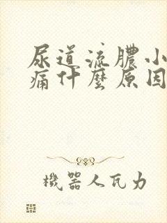 尿道流脓小便刺痛什么原因
