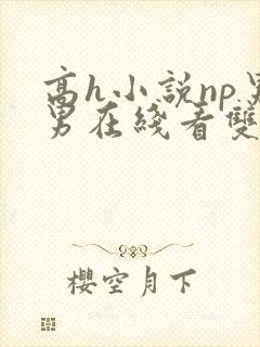 高h小说np男男在线看双性