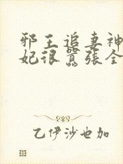 邪王追妻神医狂妃很嚣张全文免费