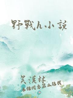 野战h小说