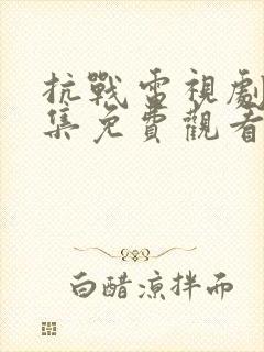 抗战电视剧45集免费观看