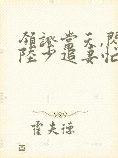 领证当天,闪婚陆少追妻忙