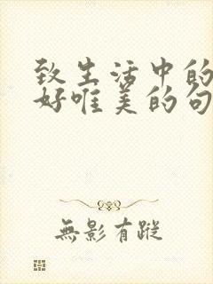 致生活中的小美好唯美的句子