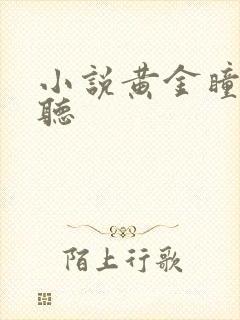 小说黄金瞳免费听