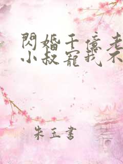 闪婚千亿老公,小叔宠我不停书籍