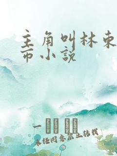主角叫林东的都市小说