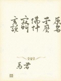 玄寂佛子原著小说叫什么名字