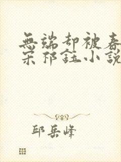 无端却被春风误宋祁钰小说阅读