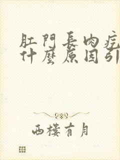 肛门长肉疙瘩是什么原因引起的
