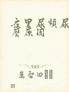 夜里尿频尿多什么原因