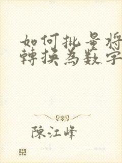 如何批量将文本转换为数字