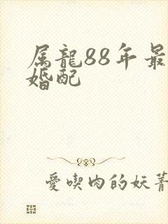 属龙88年最佳婚配