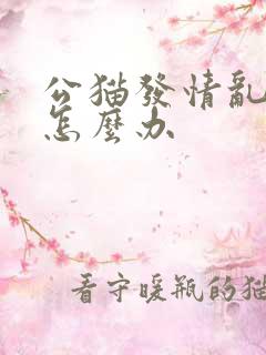 公猫发情乱尿尿怎么办