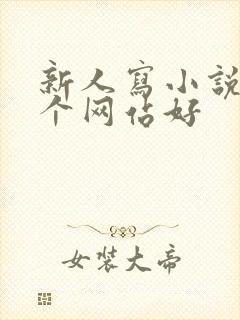 新人写小说去哪个网站好