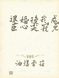 退婚后我成了权臣心尖宠免费阅读