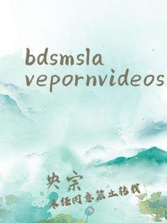 bdsmslavepornvideos