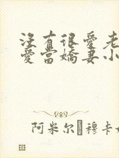 没有很爱老公但爱当娇妻小说