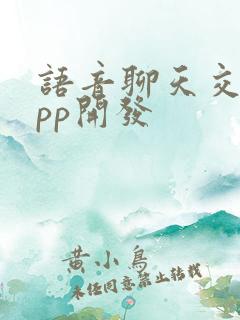 语音聊天交友app开发