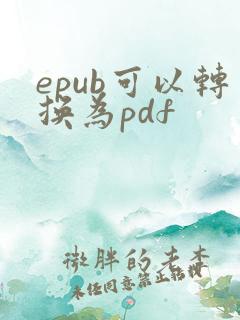 epub可以转换为pdf