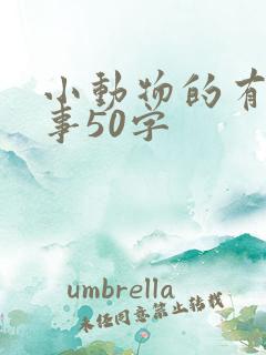 小动物的有趣故事50字