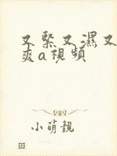 又紧又湿又大又爽a视频