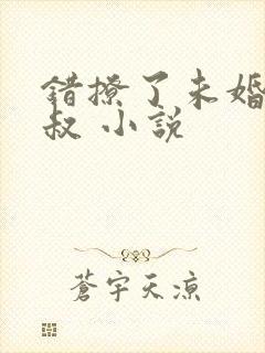 错撩了未婚夫他叔 小说