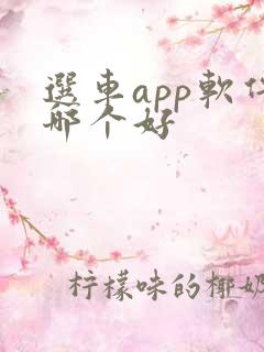选车app软件哪个好