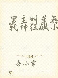 男主叫叶无缺的战神狂飙小说