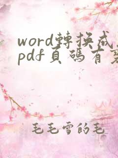 word转换成pdf页码有变化
