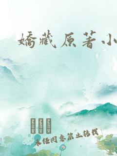 娇藏原著小说
