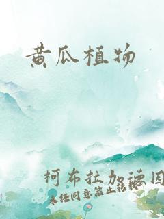 黄瓜植物