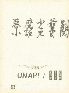 恶魔少爷别吻我小说免费阅读