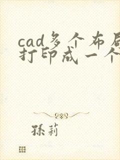 cad多个布局打印成一个pdf