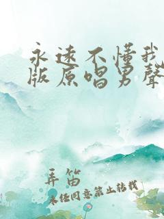 永远不懂我dj版原唱男声