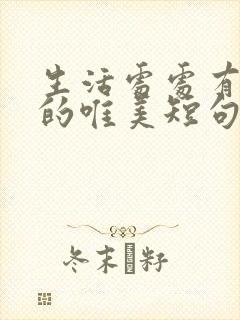 生活处处有惊喜的唯美短句