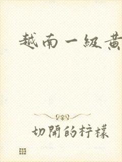 越南一级黄大片