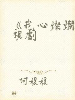 《我心灿烂》电视剧