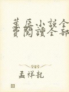 叶辰小说全文免费阅读全部