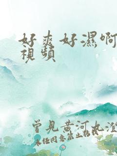 好爽好湿啊啊啊视频