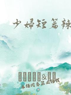 少妇短篇辣文