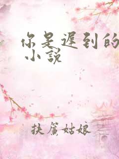 你是迟到的欢喜 小说