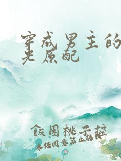 穿成男主的白月光原配