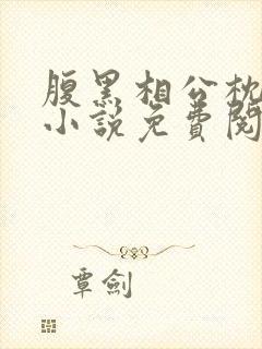 腹黑相公枕上宠小说免费阅读