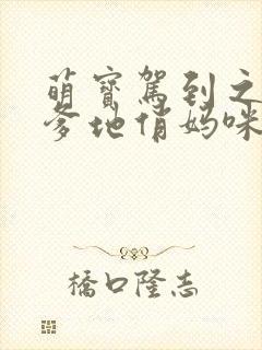 萌宝驾到之腹黑爹地俏妈咪