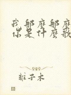 我那么那么的爱你是什么歌