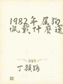 1982年属狗佩戴什么运气最好